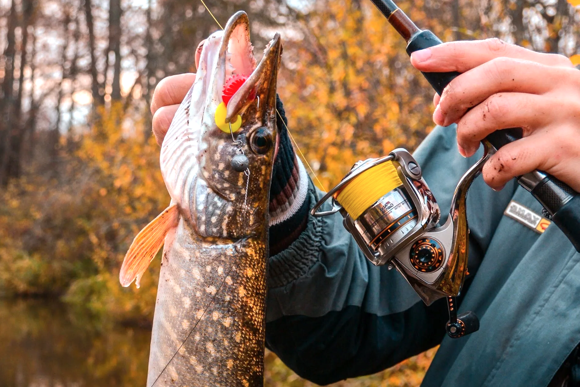 фото с ресурса Яндекс картинки