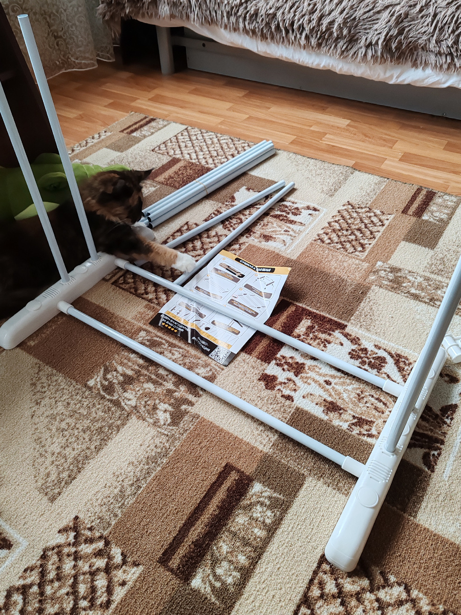 Кошка помощница