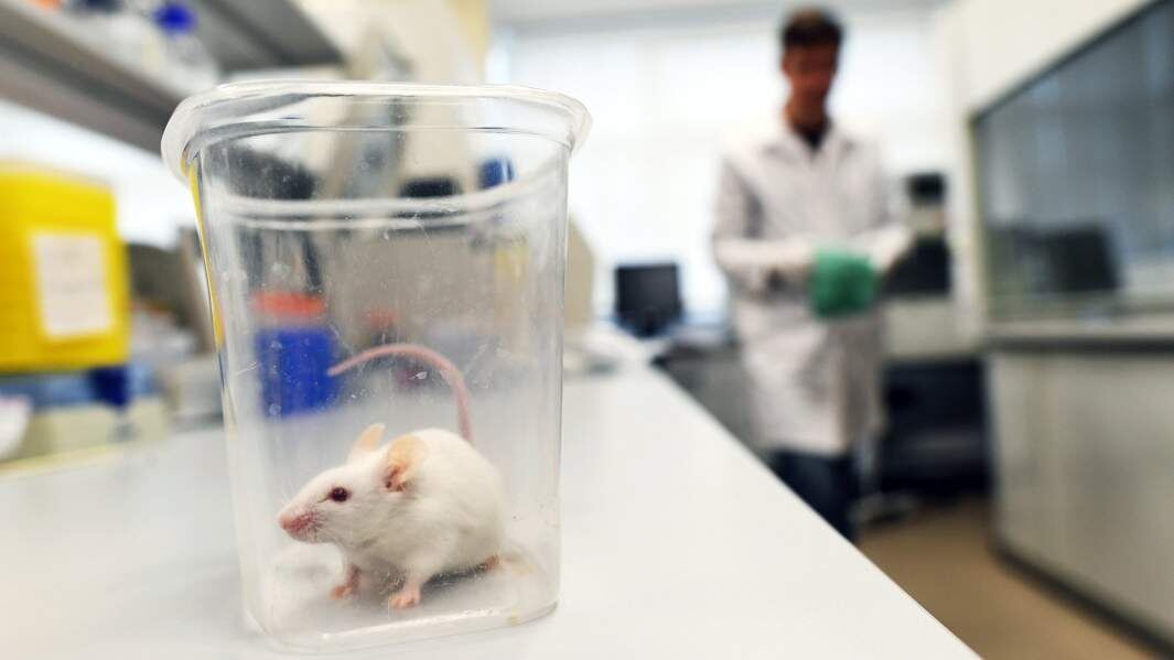 Фото: РИА Новости/Сергей Пятаков