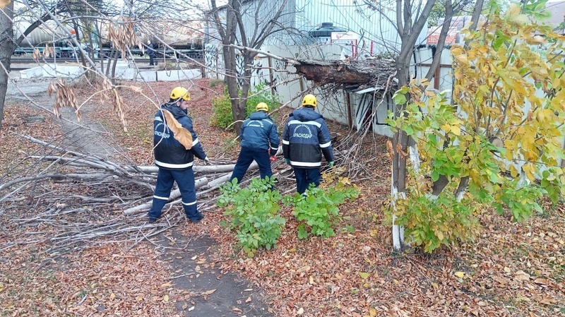    Фото: пресс-служба администрации Краснодара