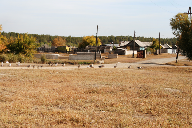 Вид на бетонные плиты на пустыре