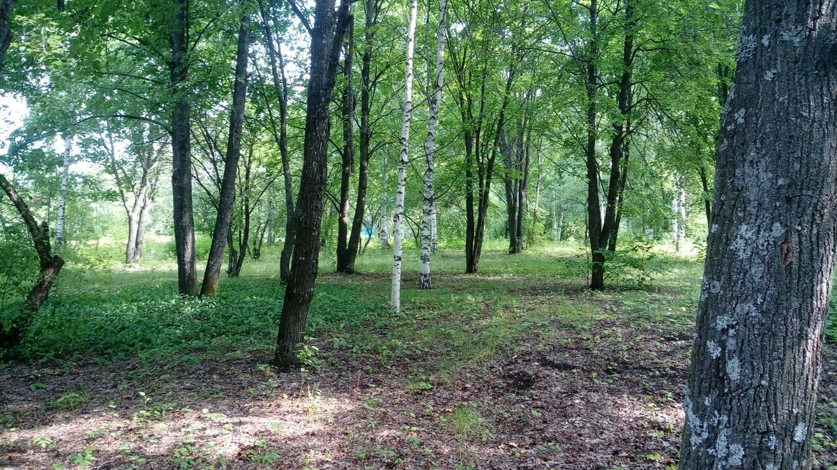 Фото автора.