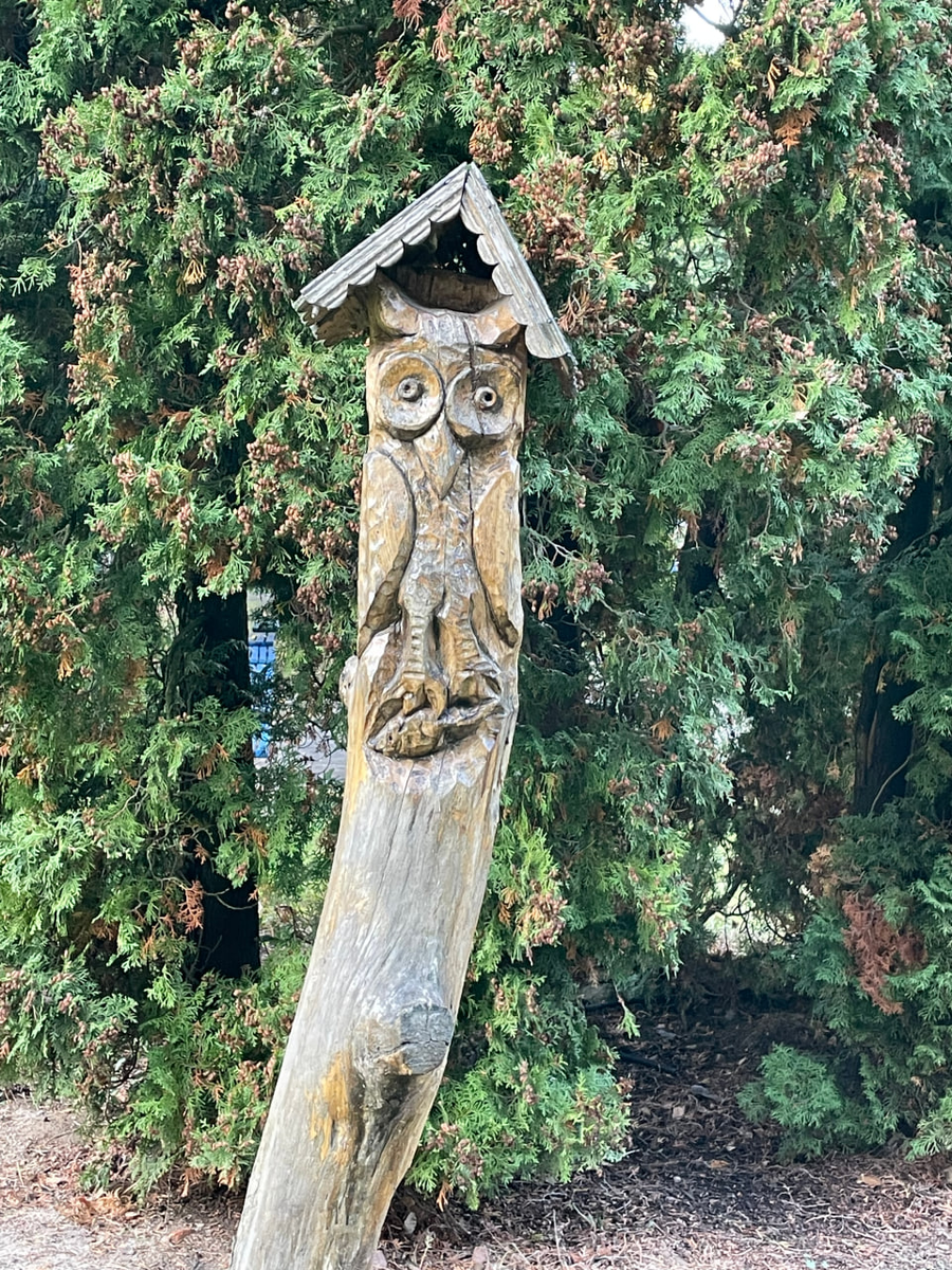 На территории санатория Неман-72 