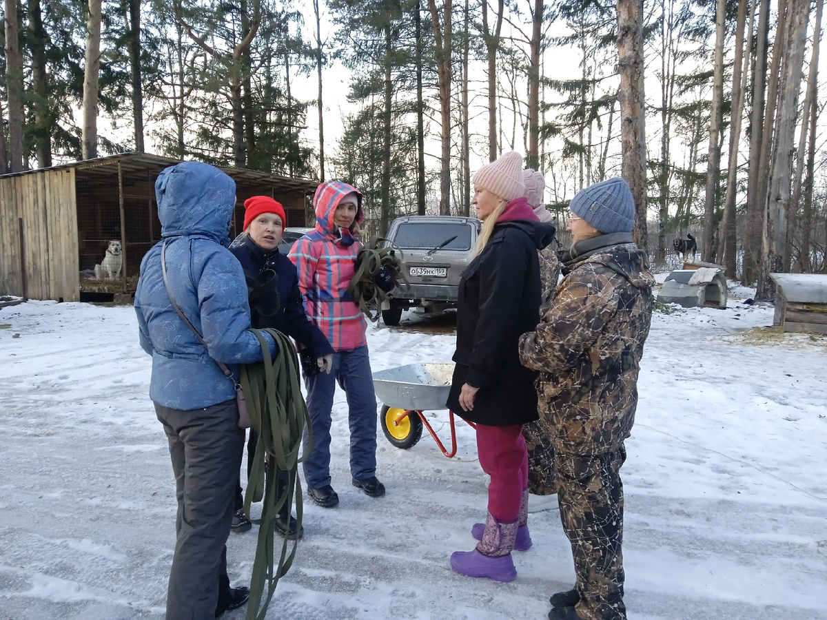 Волонтеры опытные справа, новенькие - слева.