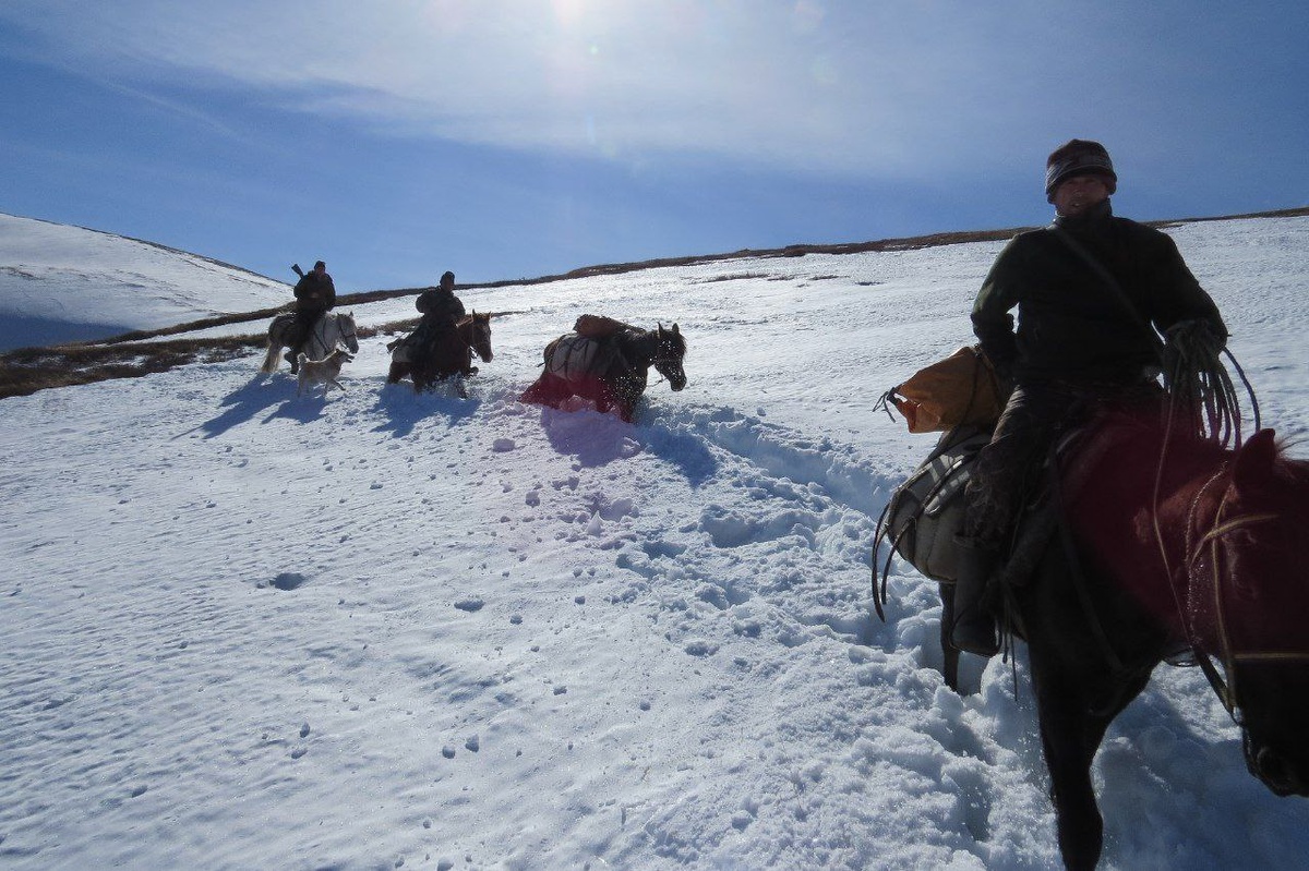 (с) Сайлюгемский нацпарк. Инспекторы во время зимнего конного патрулирования. Зима - самое сложное время для охраны территории.