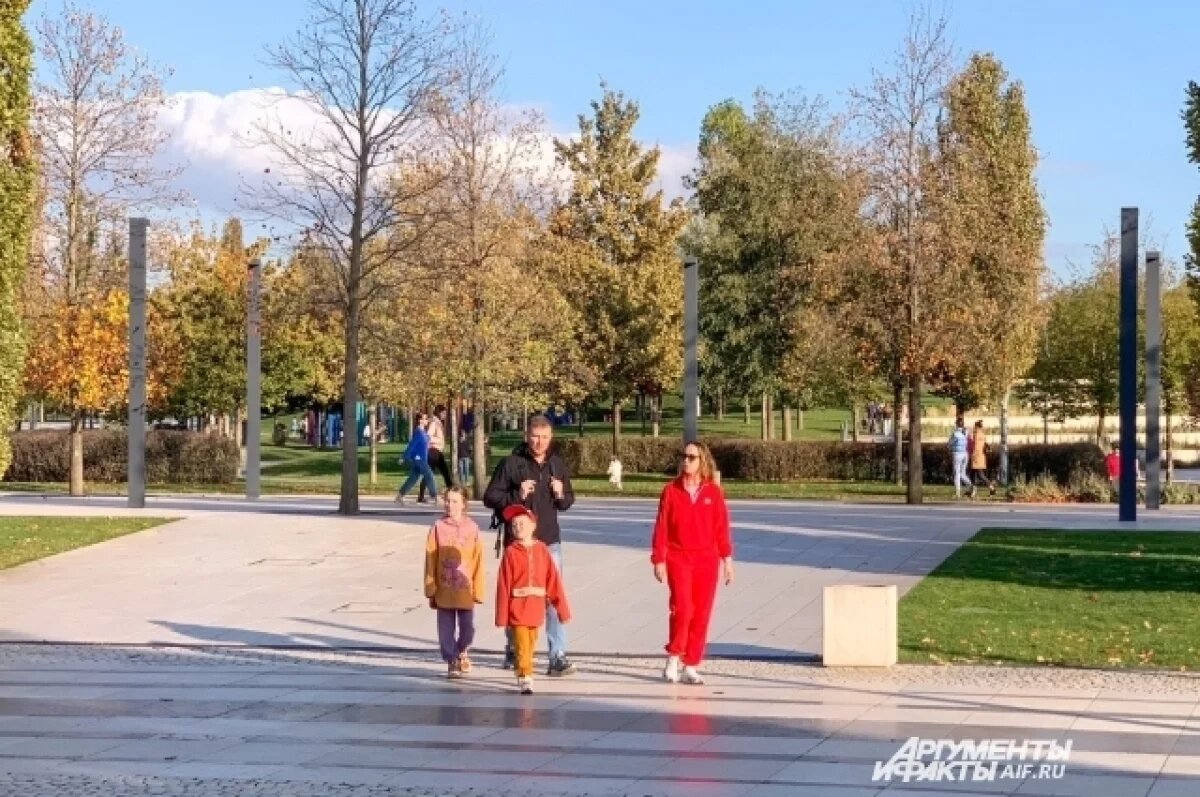    В парке Галицкого открыли новую локацию на крыше энергоцентра