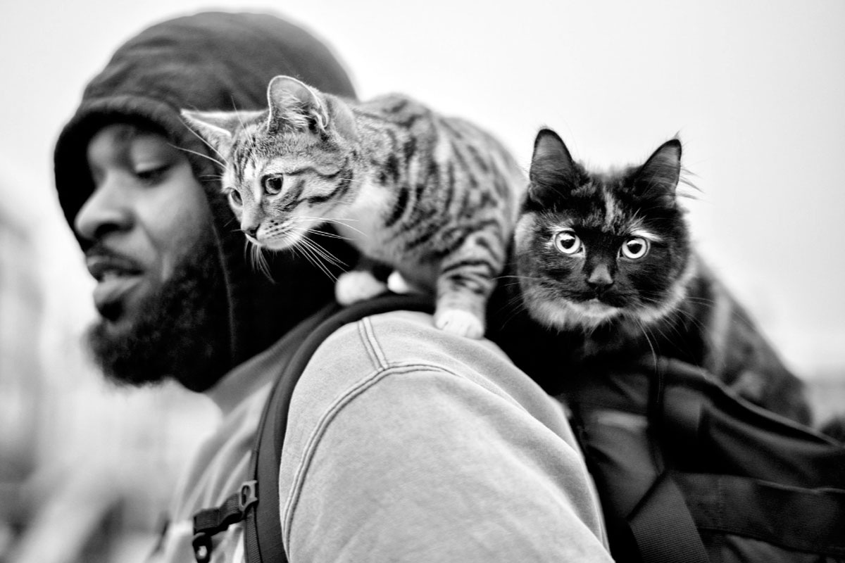 Агрессия вовсе не обязательно разрушительна, она проистекает из врожденной тенденции расти и управлять жизнью