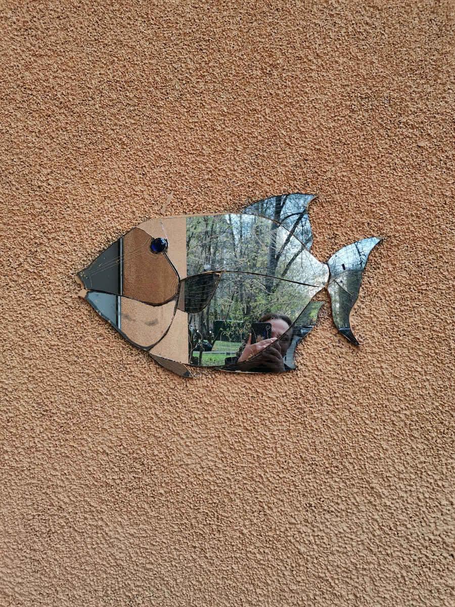 Зеркальные рыбы