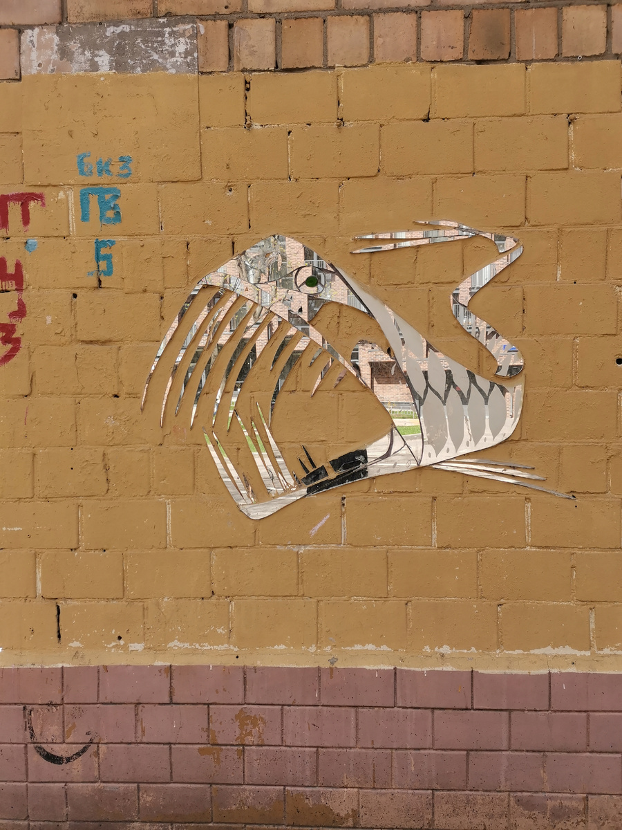 Зеркальные рыбы