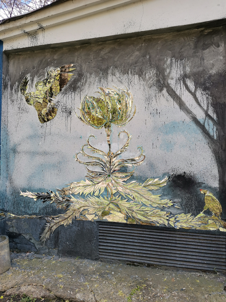 Зеркальные рыбы