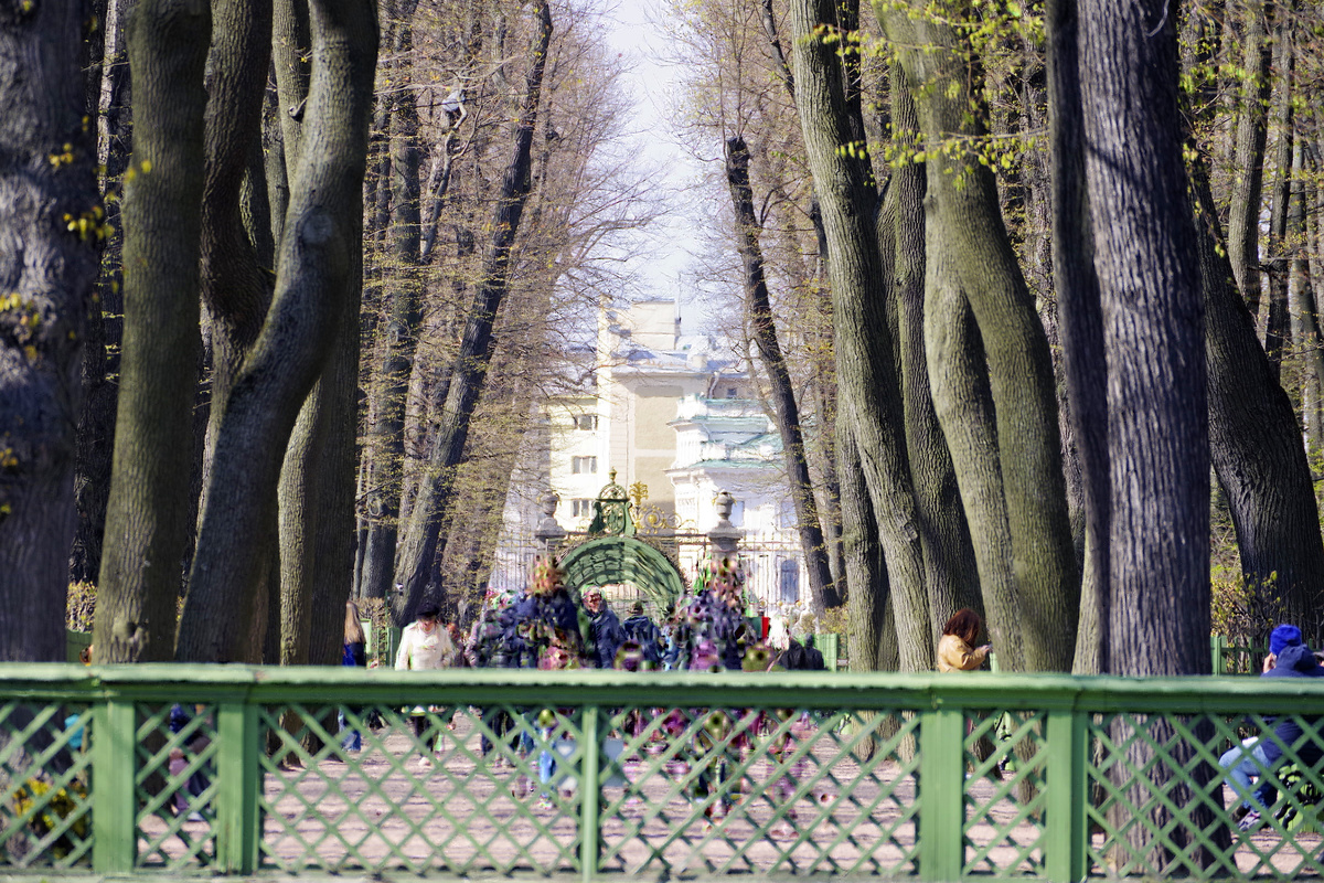 Летний сад. общий вид (по главной аллее)