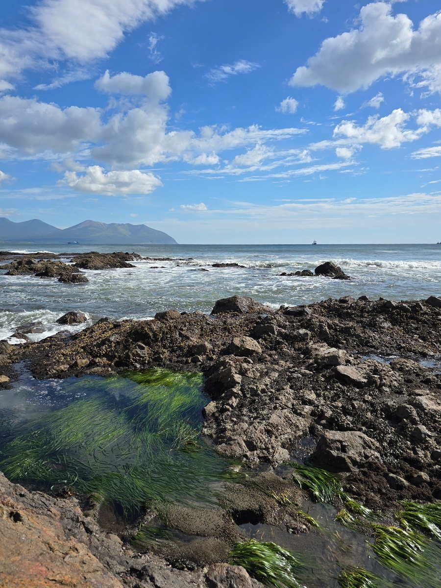 Тихий океан