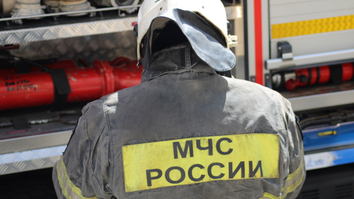 ИА «Тульская пресса»📷
