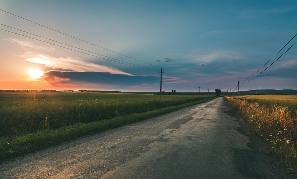 Фотограф: Peter Fazekas: https://www.pexels.com/ru-ru/photo/1137340/ 