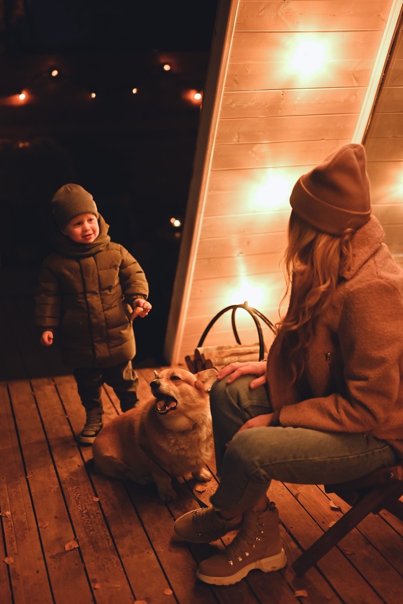 Глэмпинг-дача Aframe Happy заселяет гостей с питомцами