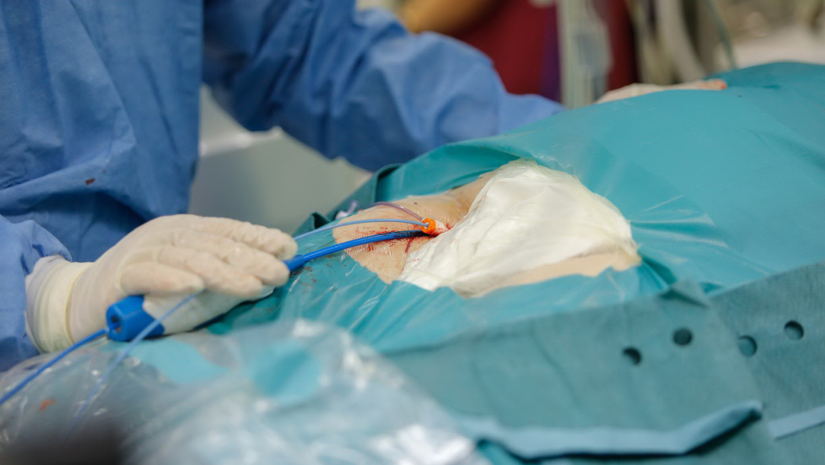    Фото: Антон Вергун