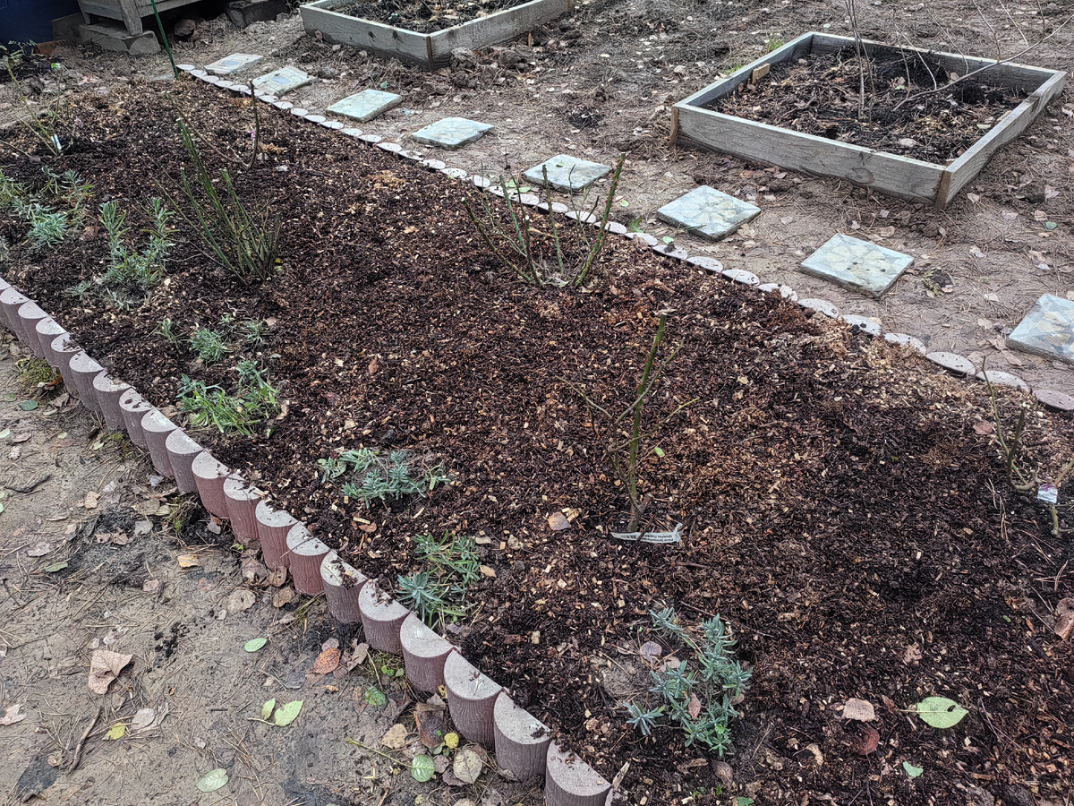 В рабатке землю засыпала мульчей. 