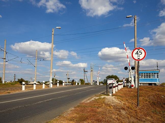 Фото: Елена Журавлёва