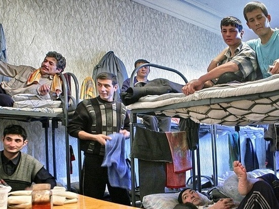 Фото: zebra-media.online