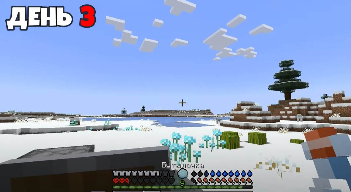 кадр из моего видео про выживание в бесконечной зиме Ютуб:Макрипс