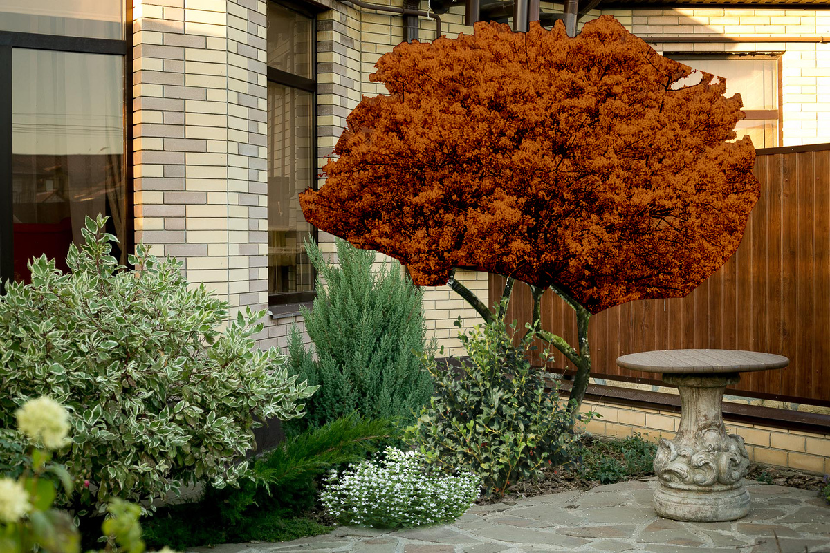 Автор фото Елена Якимова / Greenfingers