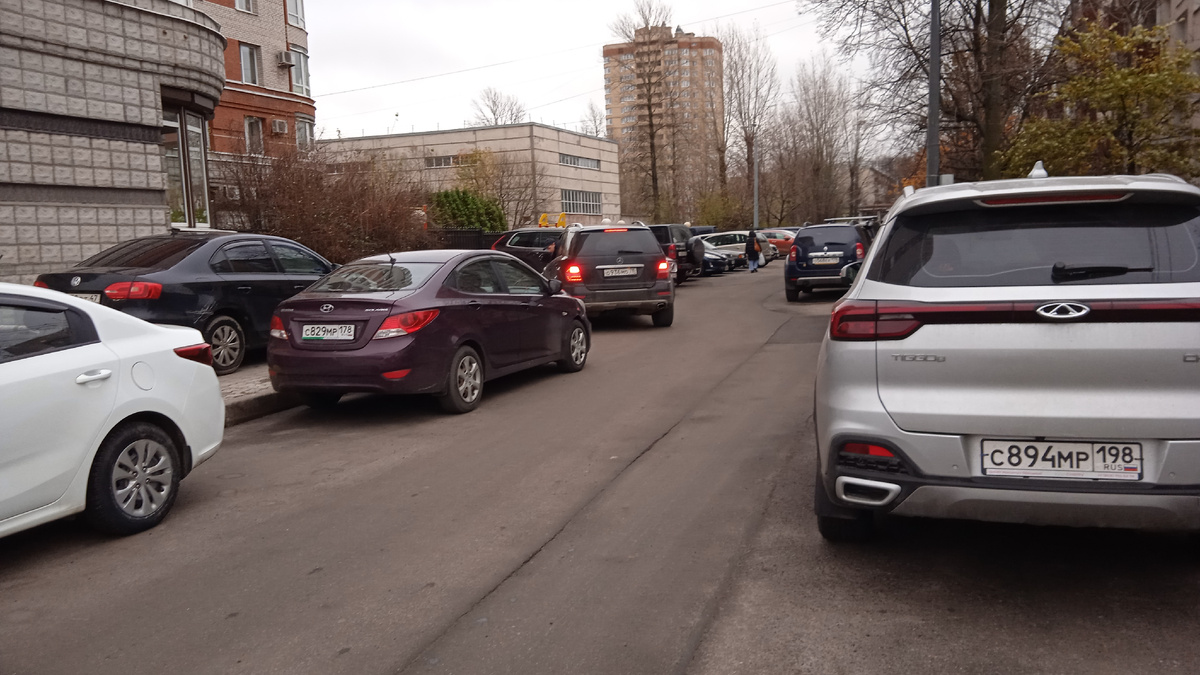 Вот там, за третьей машиной слева нашли место. Это прилегающая территория напротив парка.