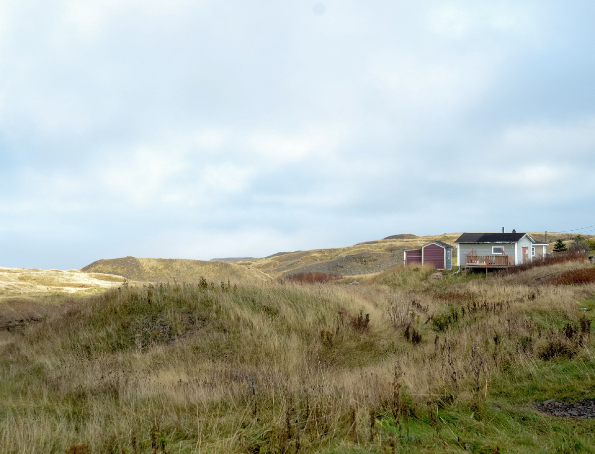 Надо было вовремя косить...