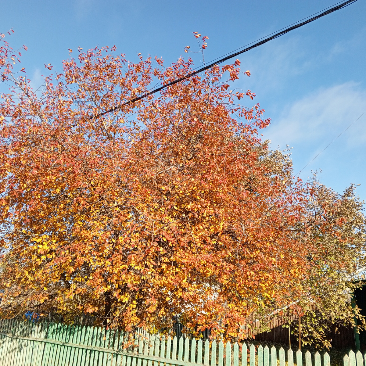 Личное фото автора