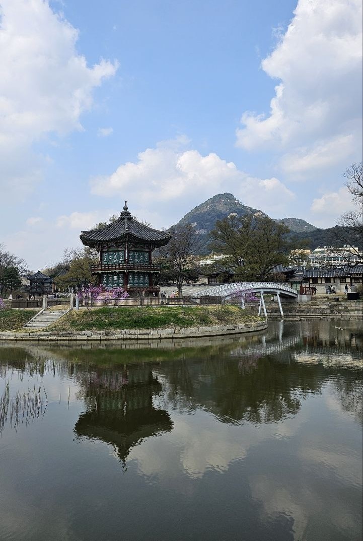 Территория дворца