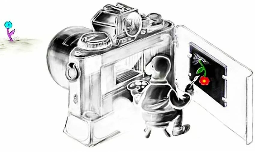 Яндекс картинки 