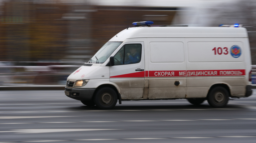    Фото: ИЗВЕСТИЯ/Дмитрий Коротаев; 5-tv.ru