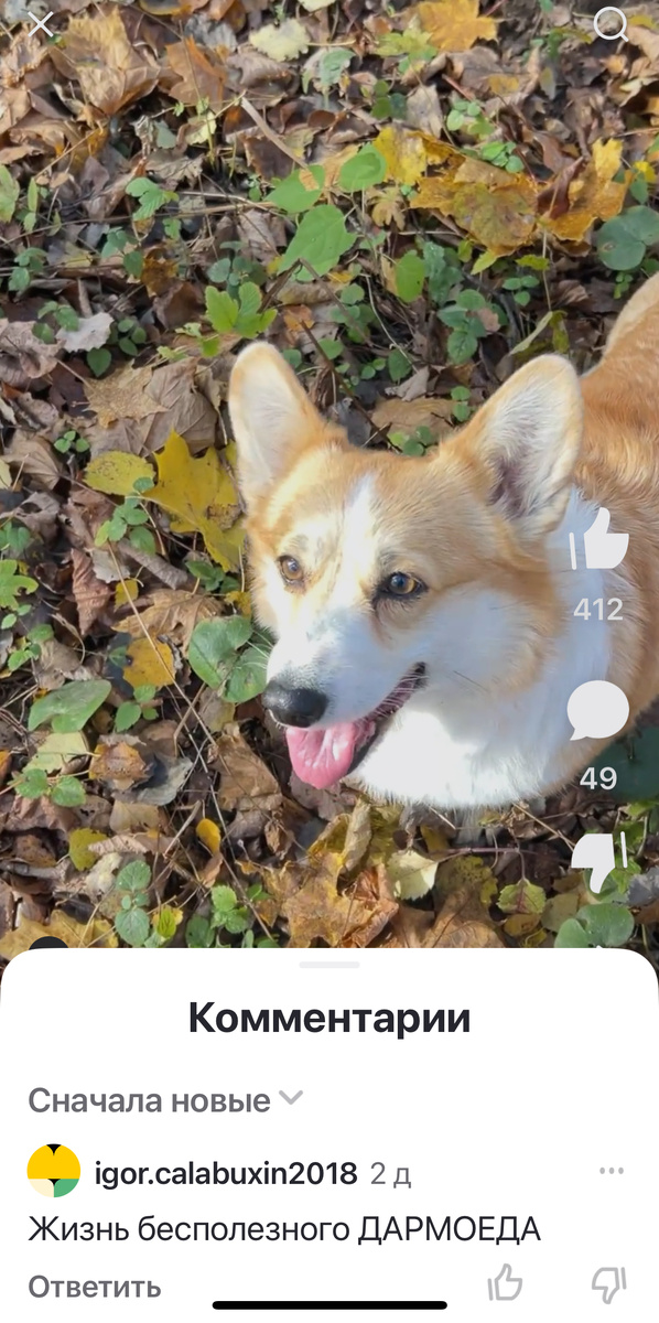 Но встречаются и такие комментаторы…