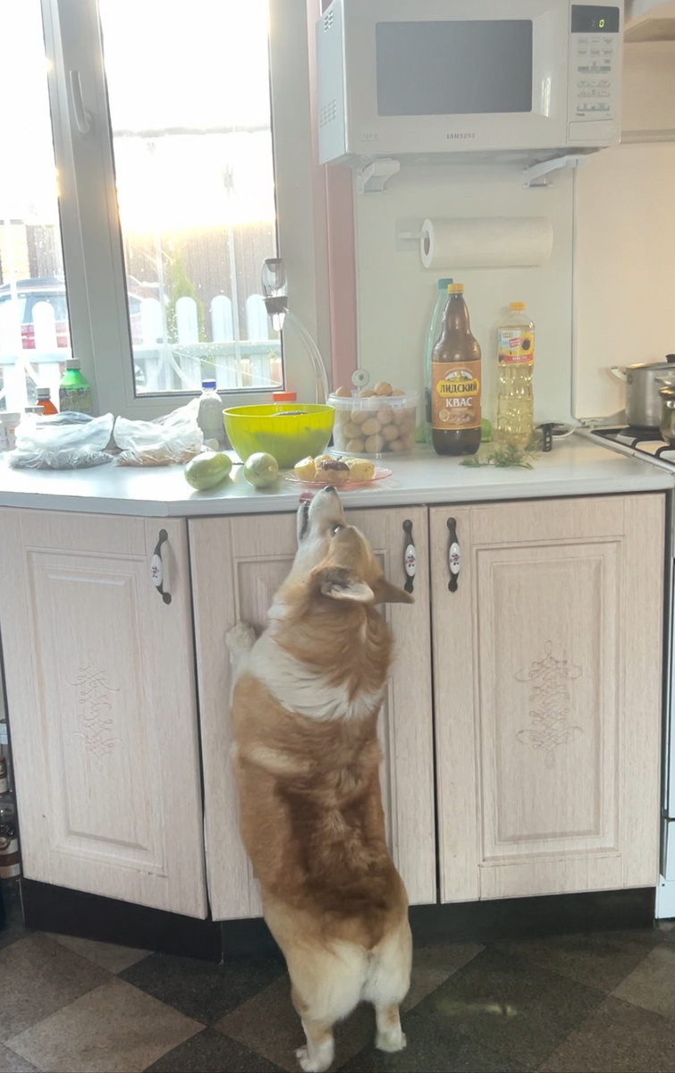 Что это так хорошо пахнет? 😁