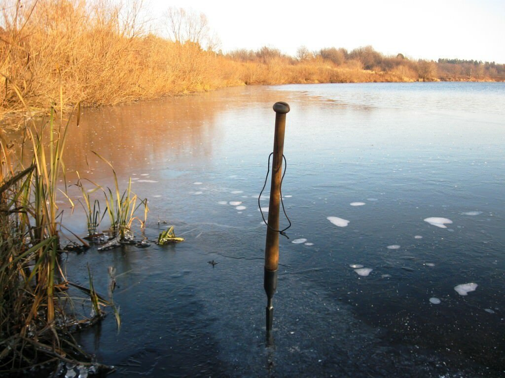 Фото из открытых источников.