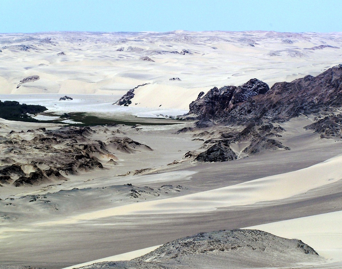 Ландшафт парка Берег Скелетов