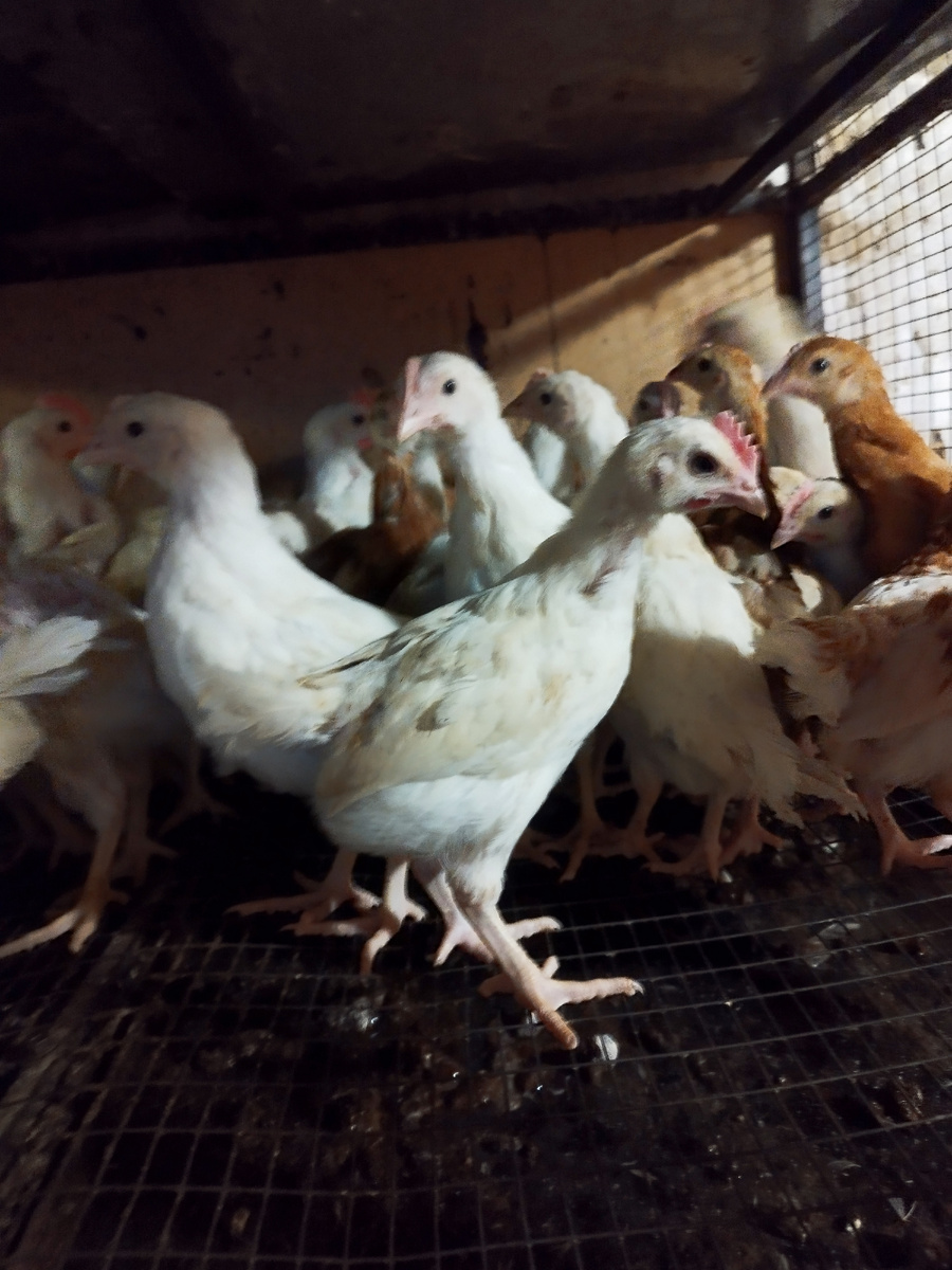 Фото  автора