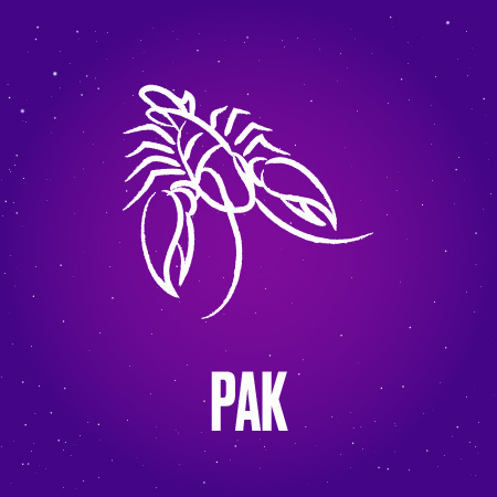 Рак в декабре 2024 года