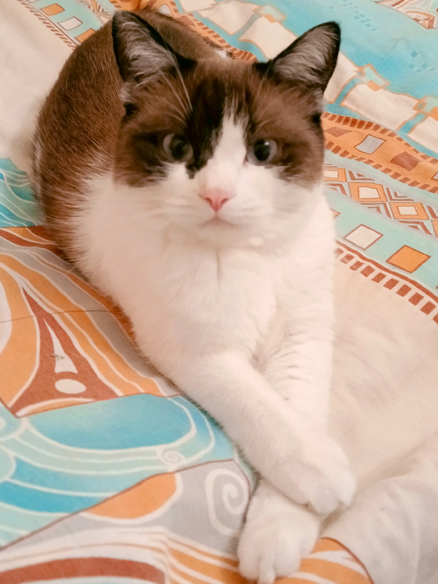 Валерий Сергеич 