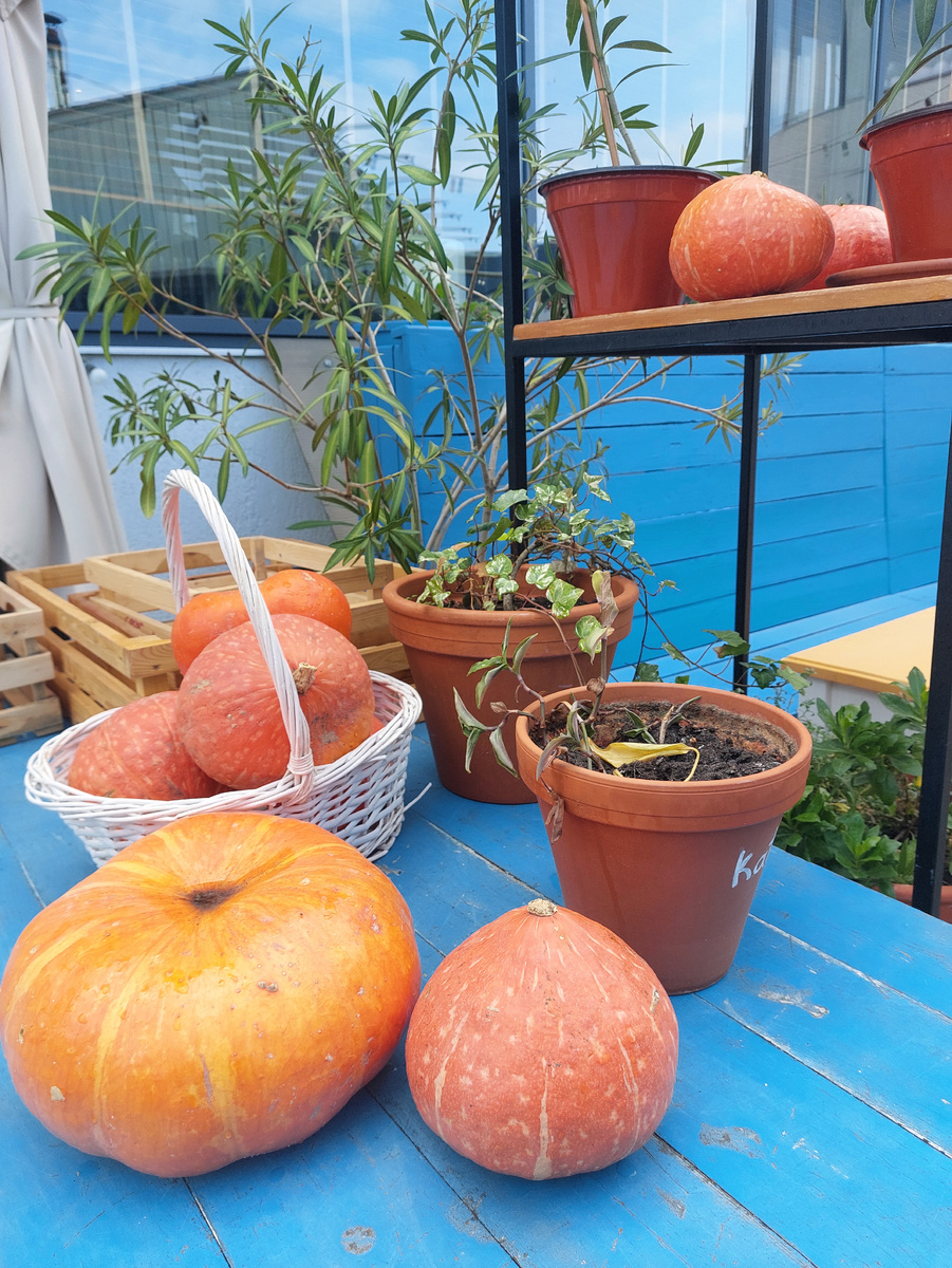 Фото автора Анапа