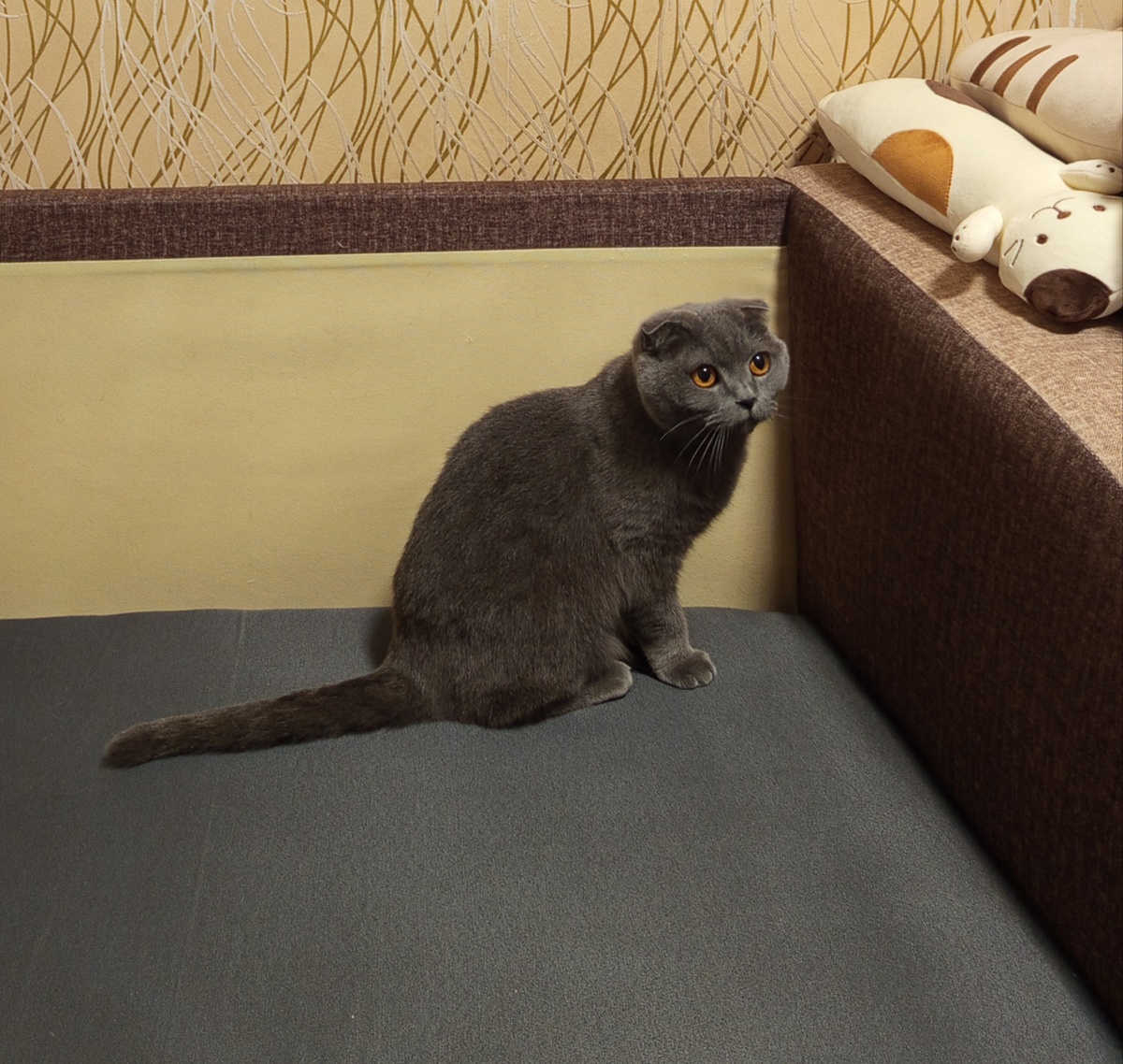 Ася, прошу любить и жаловать