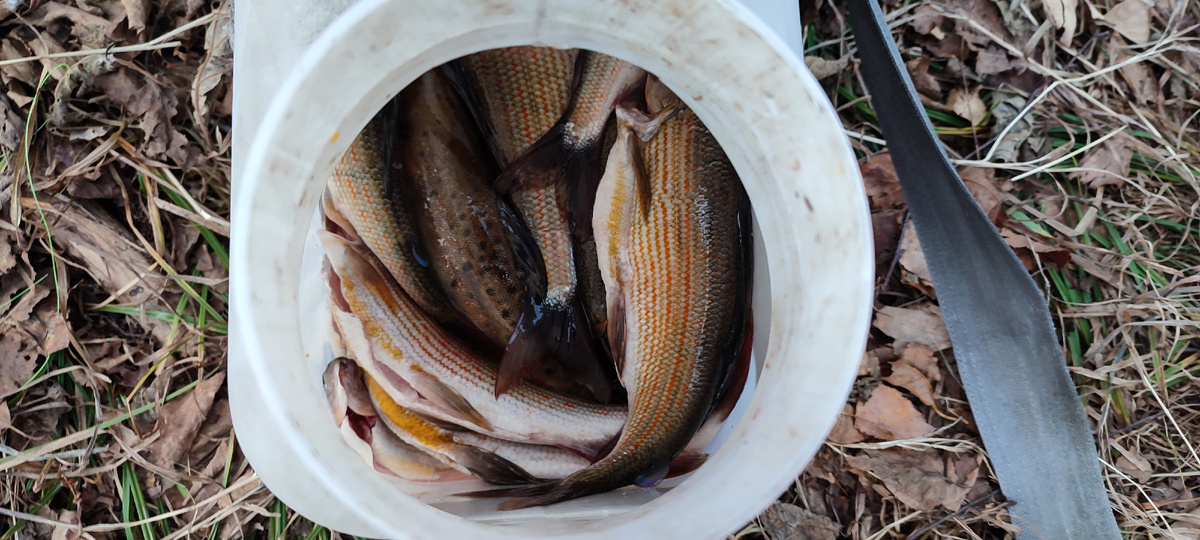 Канистра рыбака