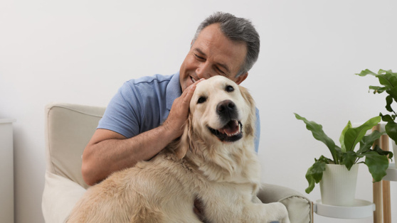    Это не игра: советы кинолога, как распознать неочевидный признак дискомфорта у собаки Андрей Бурков