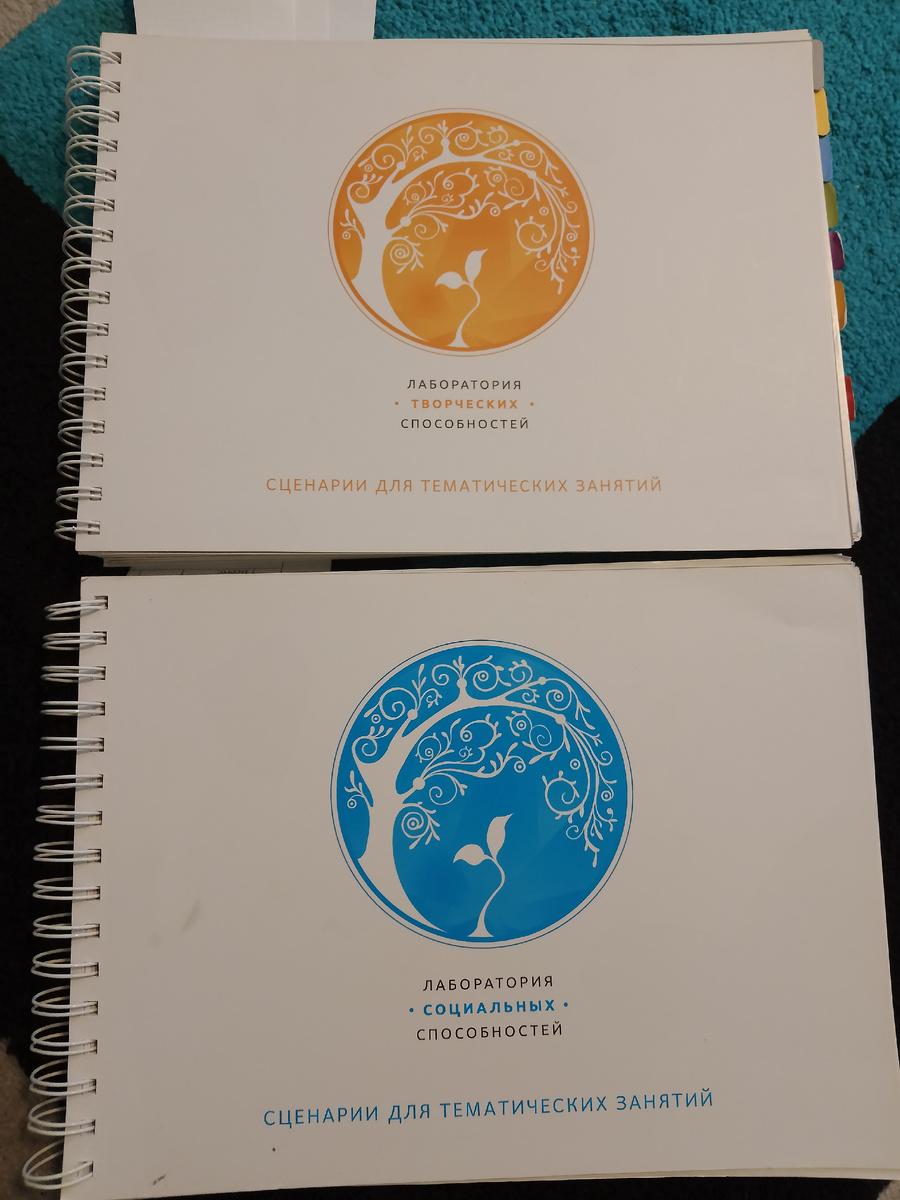 Это конспекты занятий от фирмы " Умница". Их уже нет в продаже, к сожалению, но можно найти на авито б/у варианты. 