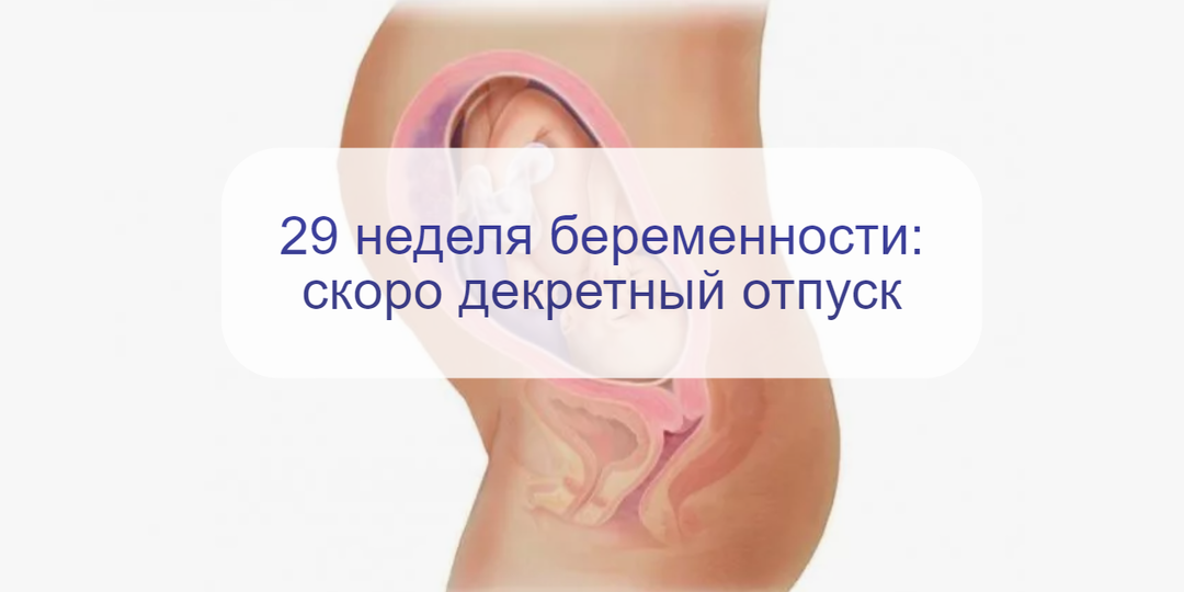 29 неделя беременности – неделя до декретного отпуска: изменения матери и плода