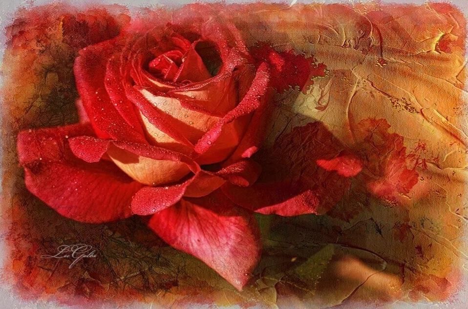 Яндекс картинки