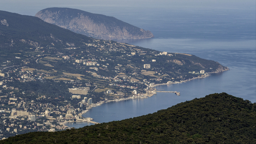    Фото: © РИА Новости/Константин Михальчевский