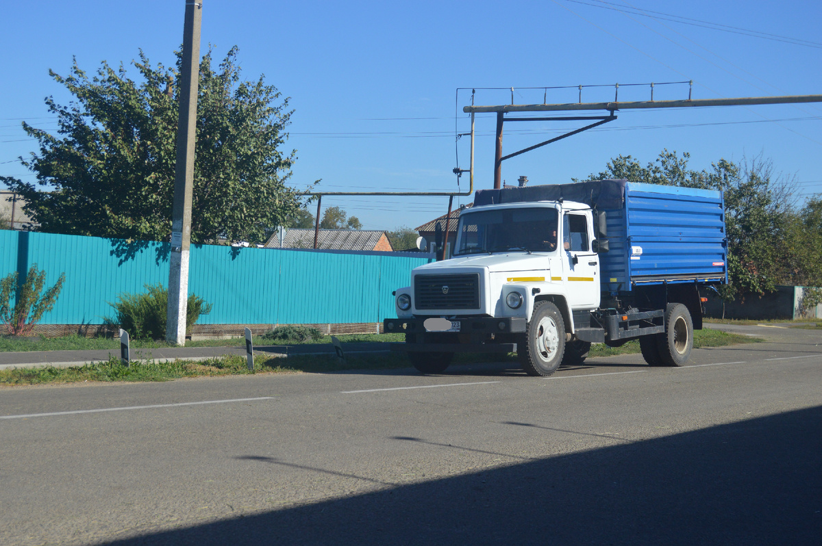 Фото автора. Октябрь 2024. Станица.  На юге ещё тепло, а в Сибири уже холодно.
