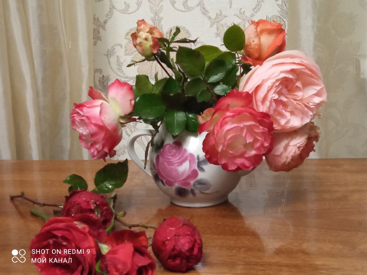 Таким был мой букет в декабре 2023-го года. Фото автора.