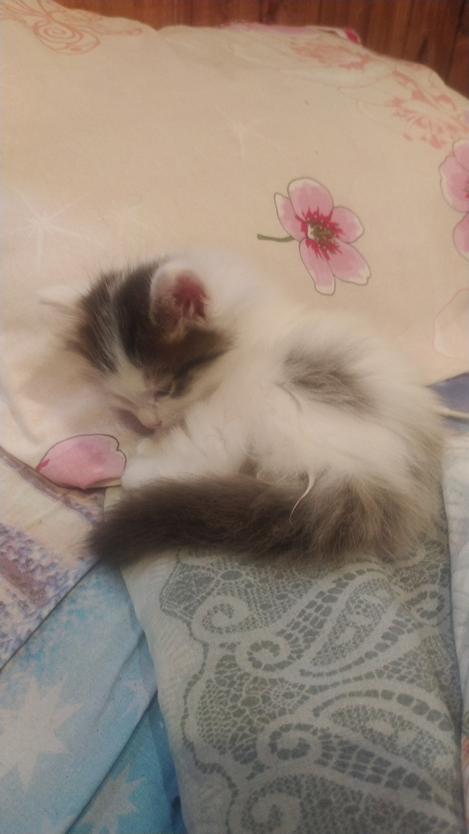 Я, вместо того чтобы писать. Фото из личного архива