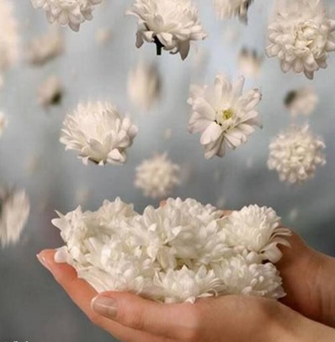 Фото взято из интернета.